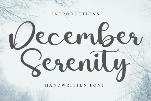 December Serenity: The Typeface That Transforms Small Business Branding