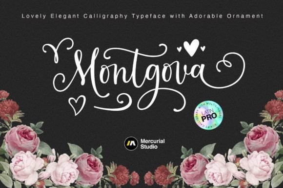 Montgova Font Review