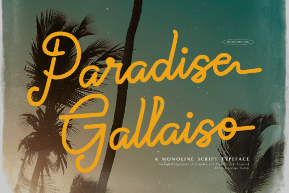 Paradise Gallaiso Font Review