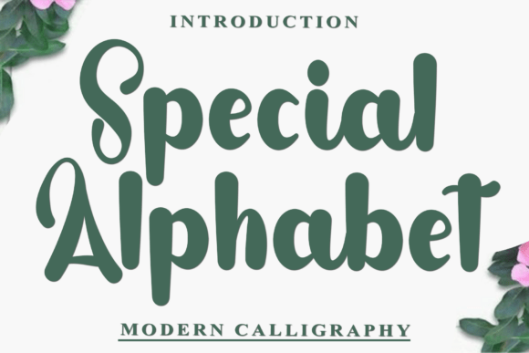 Special Alphabet Font Review
